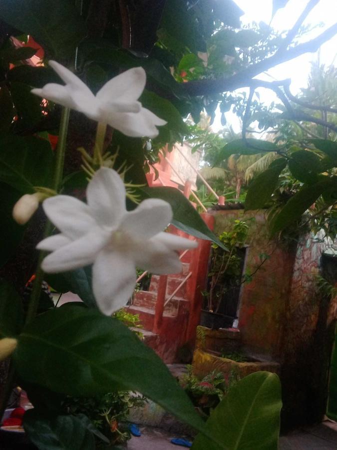 Pondok Diana Arta Jasri 外观 照片