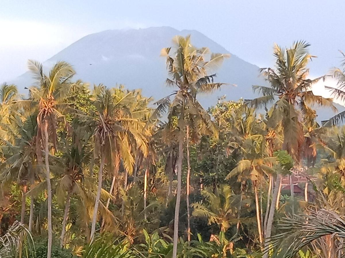 Pondok Diana Arta Jasri 外观 照片