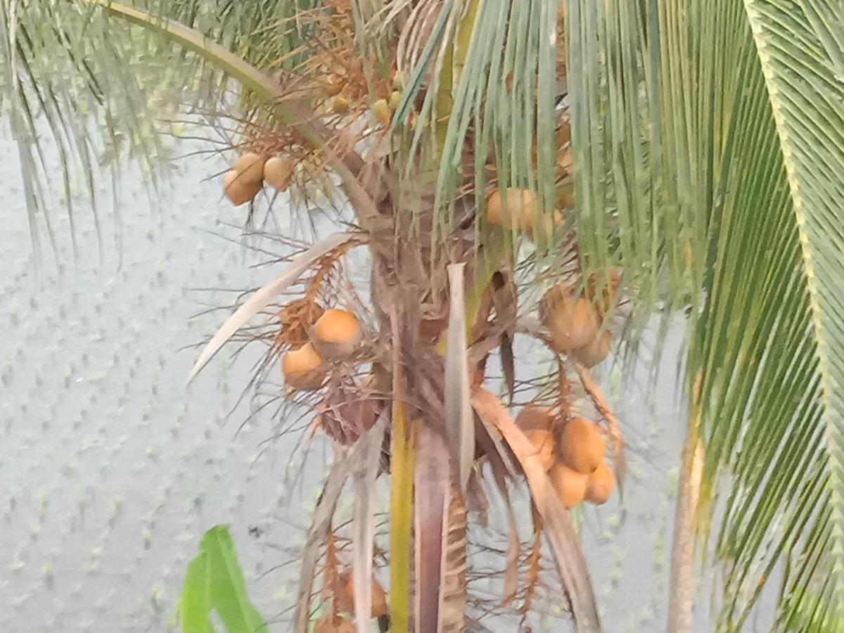 Pondok Diana Arta Jasri 外观 照片
