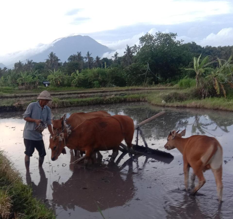 Pondok Diana Arta Jasri 客房 照片